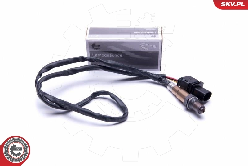 Oxygen Sensor